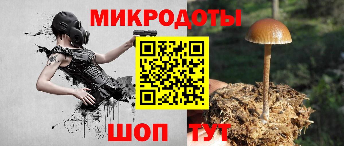 Лесозаводск  Псилоцибиновые грибы прущие грибы  Вход с VPN 